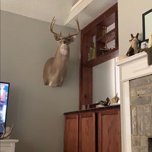 Meet your Posher, Scotty